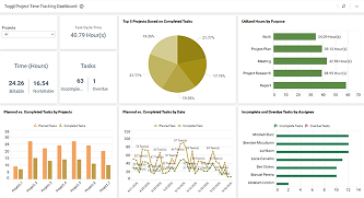 Toggl Project Time Tracking Dashboard