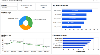 Voice of the Customer Dashboard