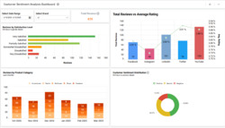 Customer Sentiment Analysis Dashboard